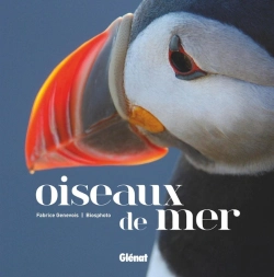 Bertrand.pt - Oiseaux De Mer
