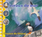 Oiseaux De Mer - Oiseaux Du Littoral