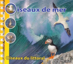 Bertrand.pt - Oiseaux De Mer - Oiseaux Du Littoral