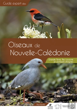 Bertrand.pt - Oiseaux De Nouvelle-Calédonie Grande Terre, Îles Loyautés Et Archipels Éloignés