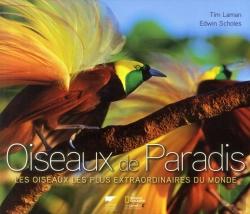 Bertrand.pt - Oiseaux De Paradis