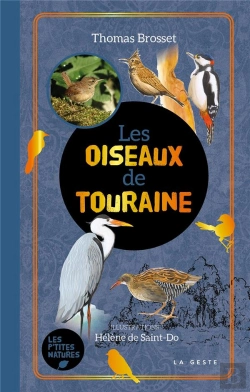 Bertrand.pt - Oiseaux De Touraine (Geste) (Poche - Relie) Coll. Baroque