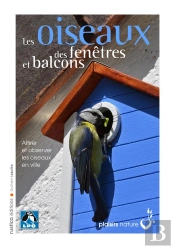 Oiseaux Des Fenetres Et Balcons