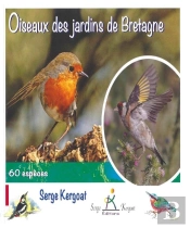 Oiseaux Des Jardins De Bretagne - 60 Especes