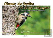 Oiseaux Des Jardins Et De Nos Campagnes
