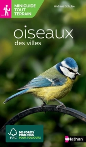 Oiseaux Des Villes