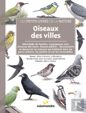 Oiseaux Des Villes