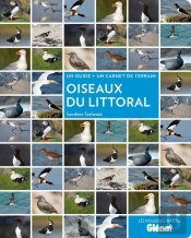 Oiseaux Du Littoral