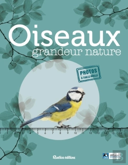 Bertrand.pt - Oiseaux Grandeur Nature
