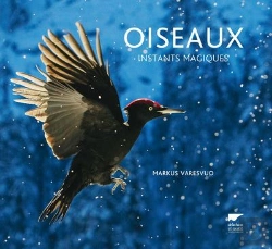 Bertrand.pt - Oiseaux ; Instants Magiques