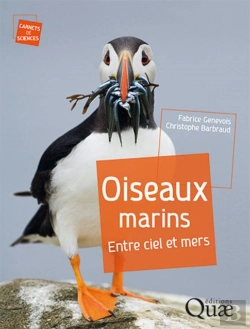 Bertrand.pt - Oiseaux Marins