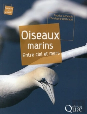 Oiseaux Marins