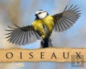 Oiseaux