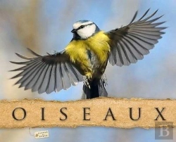 Bertrand.pt - Oiseaux