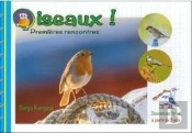 Oiseaux ! Premières Rencontres