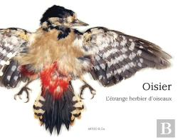 Bertrand.pt - Oisier