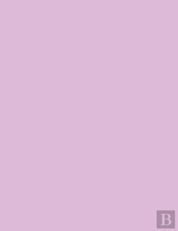 Bertrand.pt - Ok Soft Purple With Green Studio Note Book