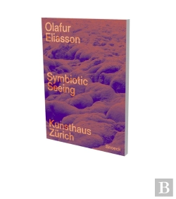 Bertrand.pt - Olafur Eliasson: Symbiotic Seeing