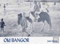 Bertrand.pt - Old Bangor