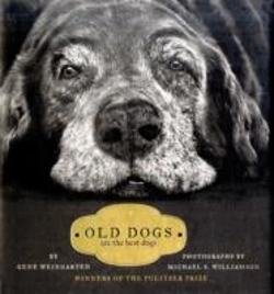 Bertrand.pt - Old Dogs