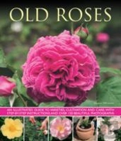 Old Fashioned Roses