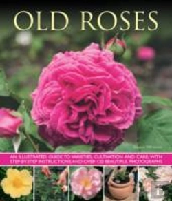 Bertrand.pt - Old Fashioned Roses