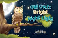 Old Owl'S Bright Night Light