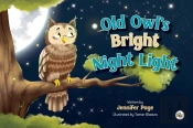 Old Owl'S Bright Night Light