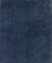 Old Testament
