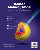 Old Version Kanban Maturity Model