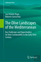 Olive Landscapes Of The Mediterranean