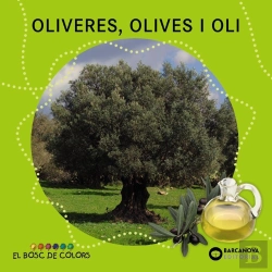 Bertrand.pt - Oliveres, Olives I Oli