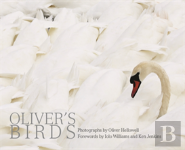 Oliver'S Birds