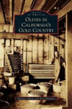 Bertrand.pt - Olives In California'S Gold Country
