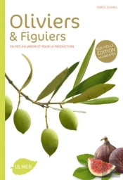Oliviers Et Figuiers