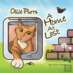 Bertrand.pt - Ollie Purrs