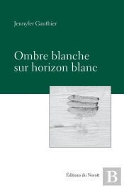 Ombre Blanche Sur Horizon Blanc