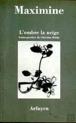 Bertrand.pt - Ombre La Neige (L)