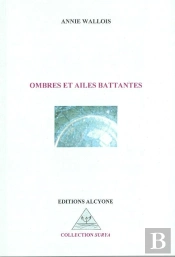 Ombres Et Ailes Battantes