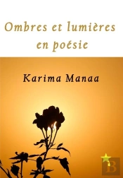 Ombres Et Lumières En Poésie