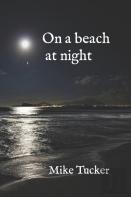 On A Beach At Night