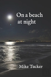 On A Beach At Night