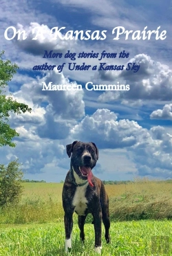 Bertrand.pt - On A Kansas Prairie