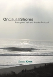 On Causal Shores: Palimpsest Veil And An