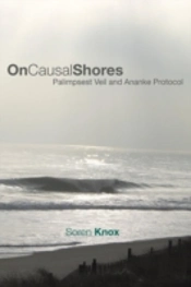On Causal Shores: Palimpsest Veil And An