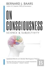 On Consciousness