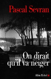 On Dirait Qu'Il Va Neiger : Journal 3