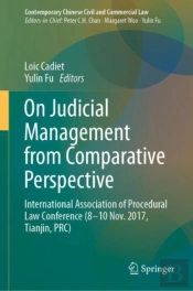 On Judicial Management From Comparative Perspective