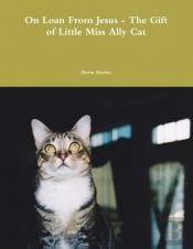 On Loan From Jesus - The Gift Of Little Miss Ally Cat