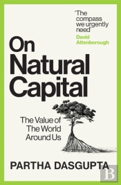 On Natural Capital